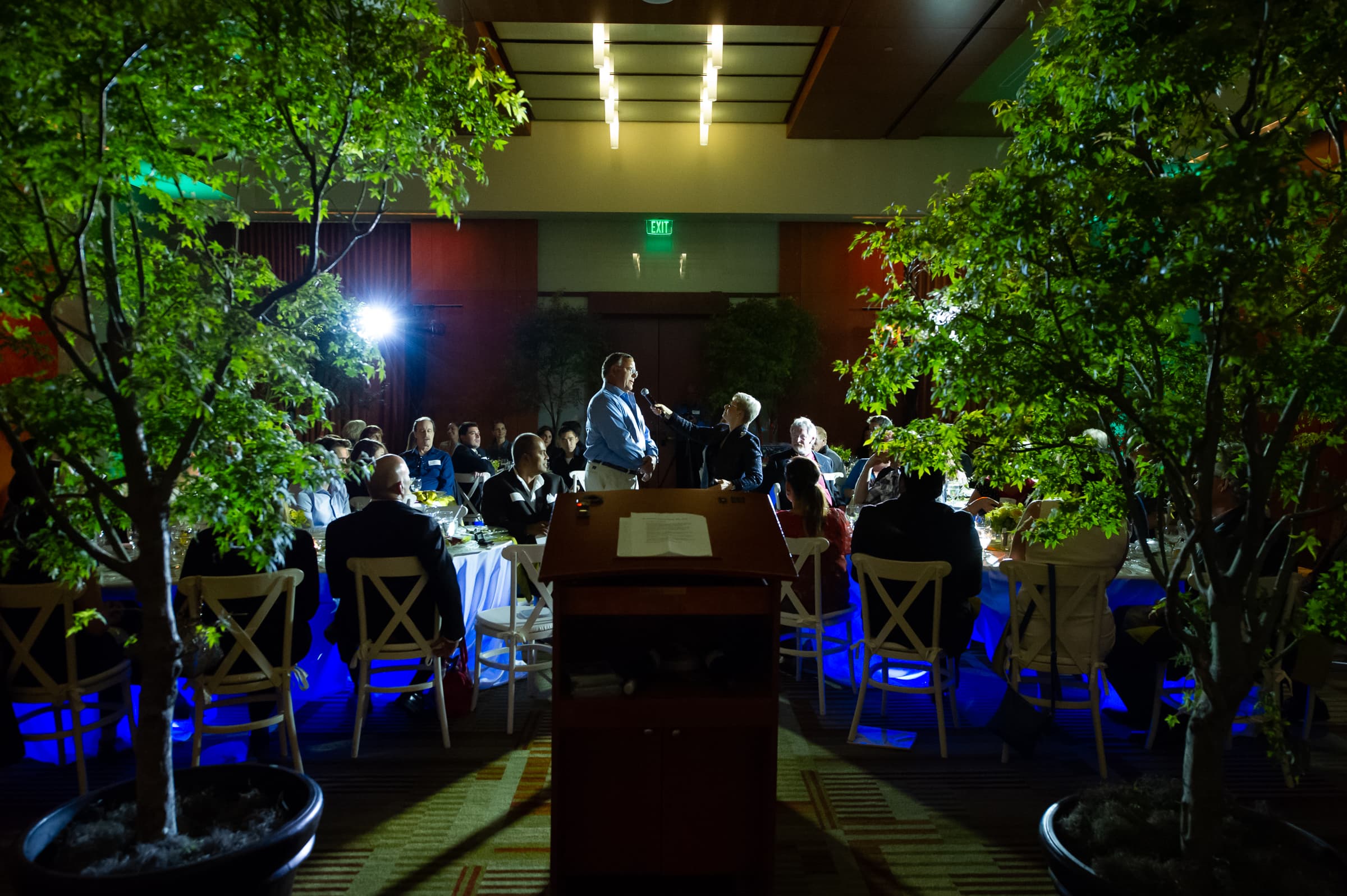 Indoor trees and blue uplighting frame a seated programme