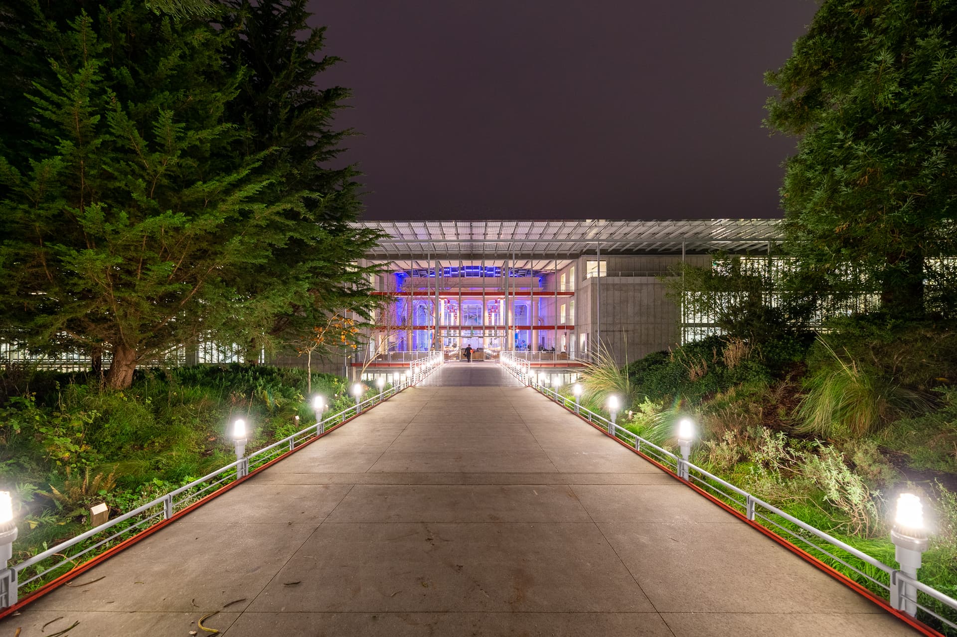 Illuminated walkway through trees to the California Academy of Sciences entrance at night