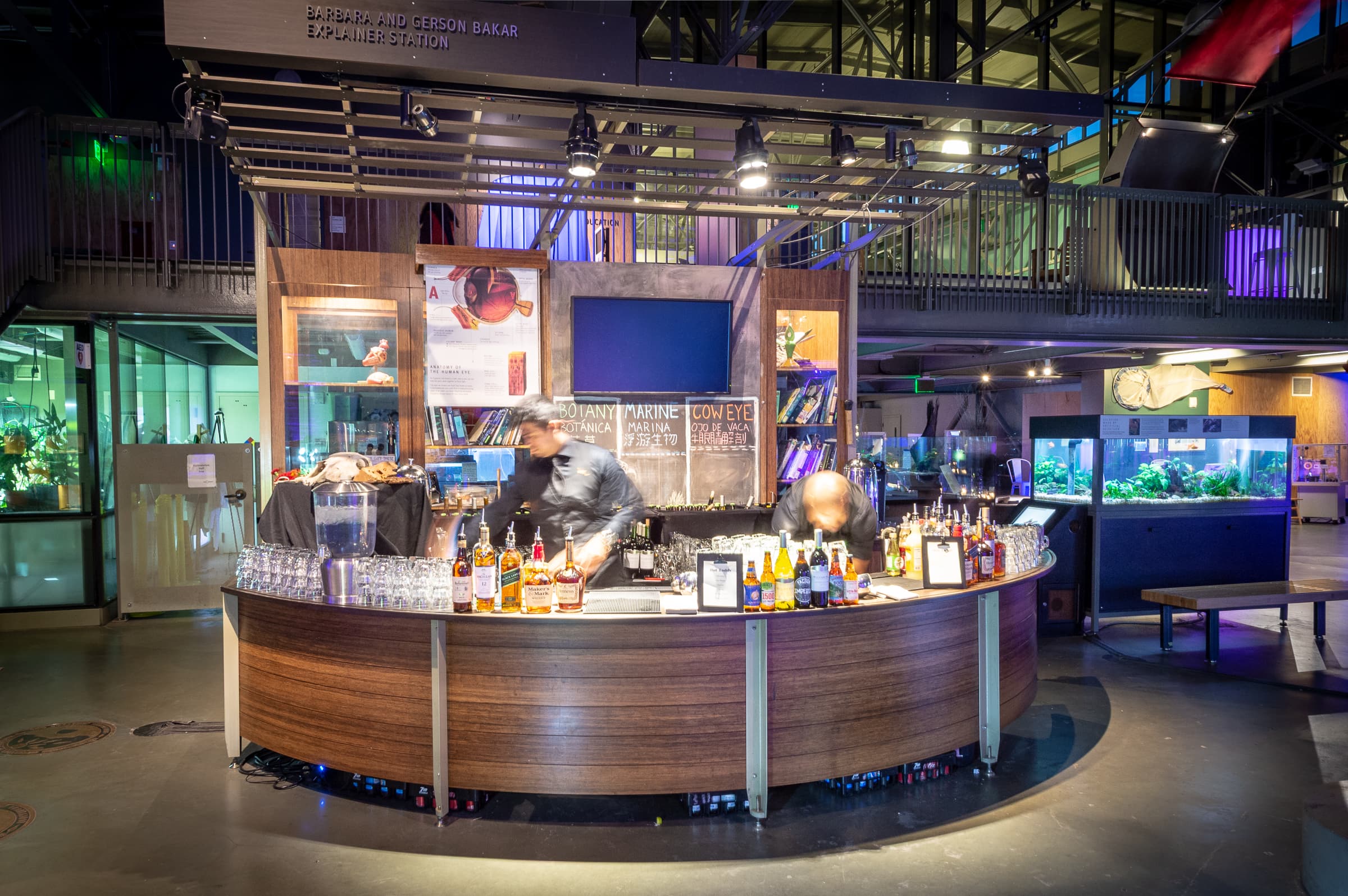 Curved bar kiosk lit within a museum gallery