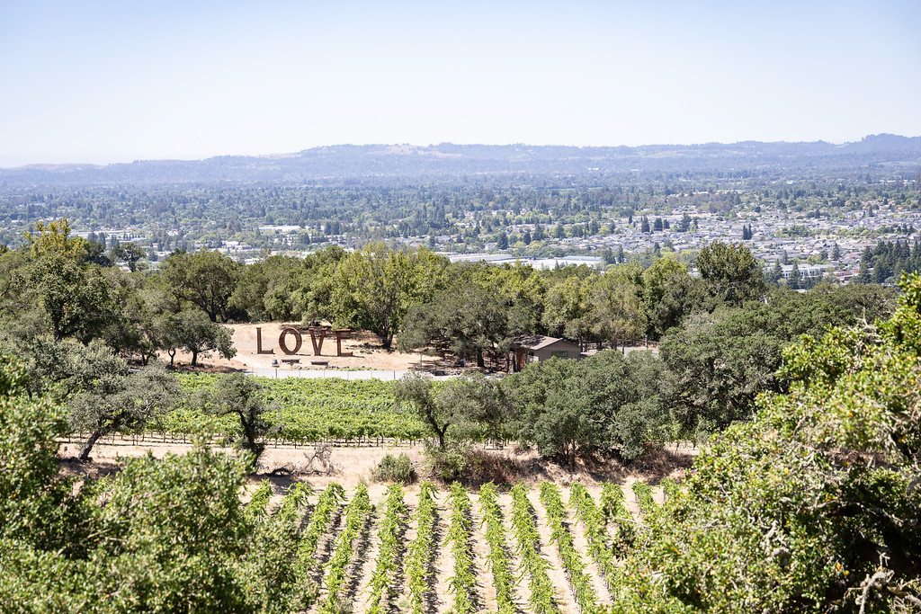Paradise Ridge Winery vineyard at All Things Meetings Santa Rosa