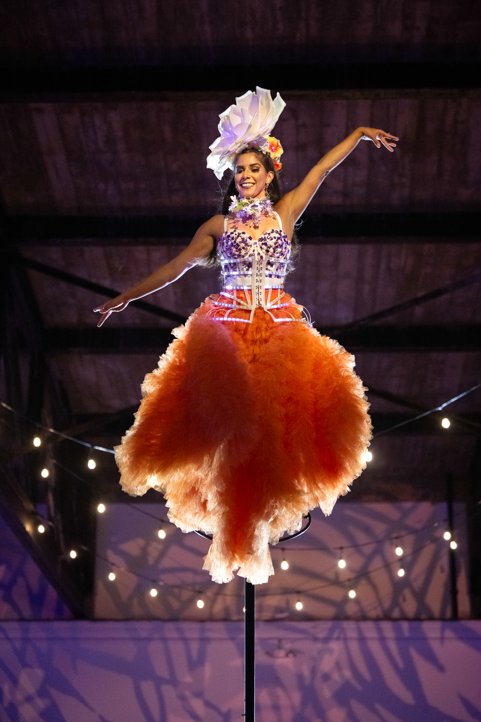 Costumed dancer performing on stage during a gala program